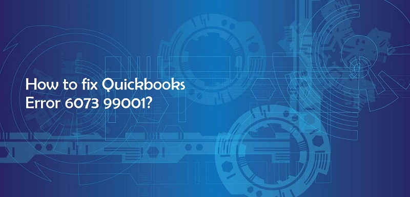 QuickBooks 6073 Error