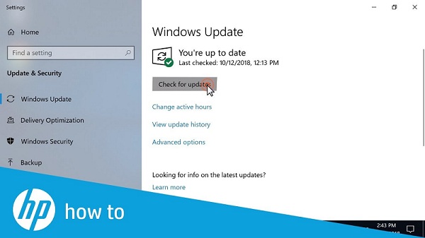 Updating Windows